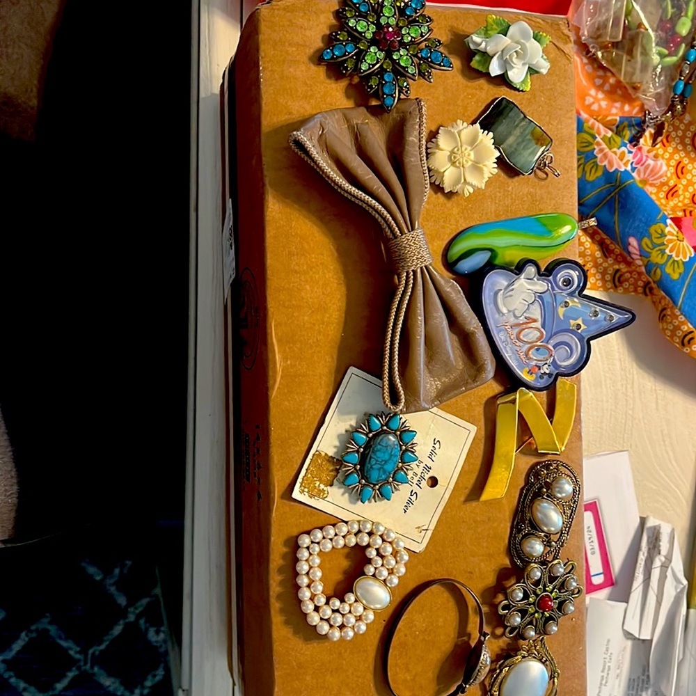 Pins, pendant,leather hair bow, and braclet
